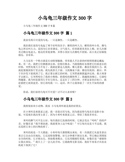 小乌龟三年级作文300字