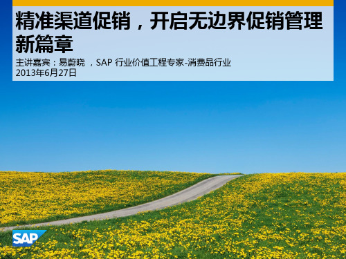 SAPCRM促销管理.pdf