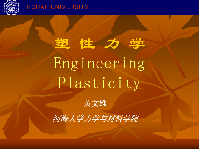 Huang_Plasticity1.0_1