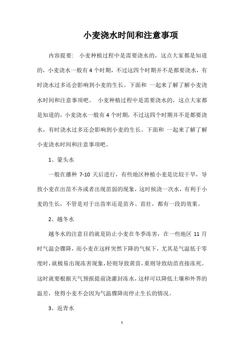 小麦浇水时间和注意事项