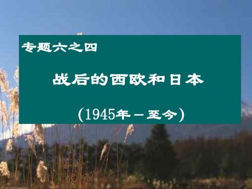 战后的西欧和日本PPT课件3 人民版