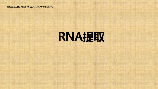 RNA提取详细步骤及注意事项