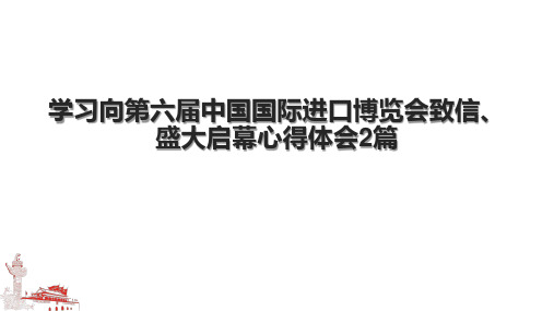 学习向第六届中国国际进口博览会致信、盛大启幕心得体会2篇