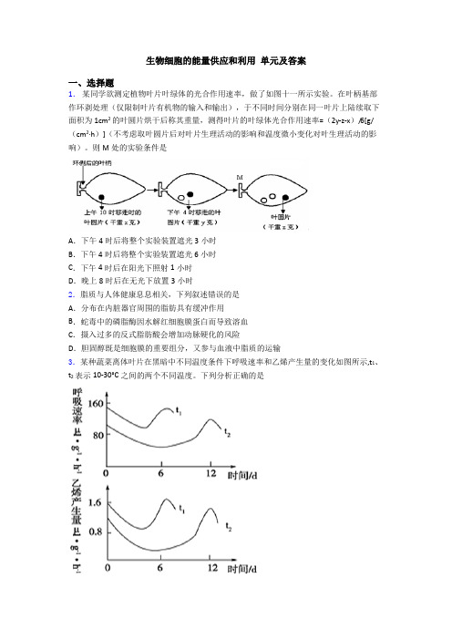 生物细胞的能量供应和利用 单元及答案