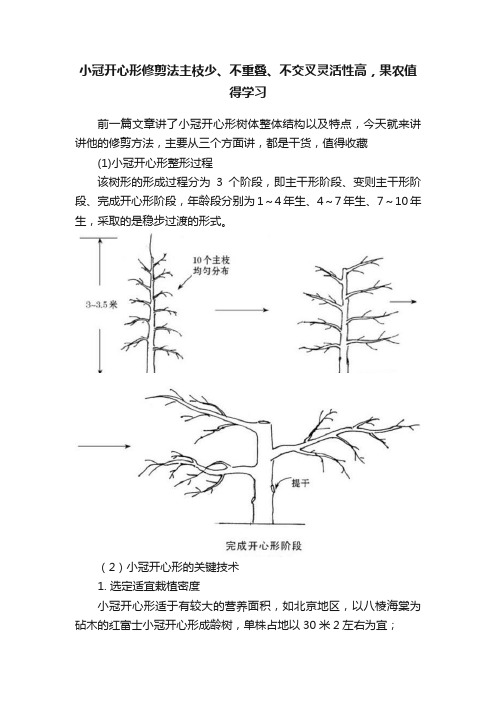 小冠开心形修剪法主枝少、不重叠、不交叉灵活性高，果农值得学习