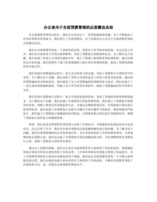 办公室关于全面预算管理的反思整改总结