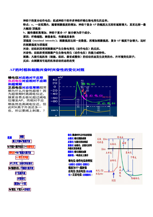 神经干的复合动作电位