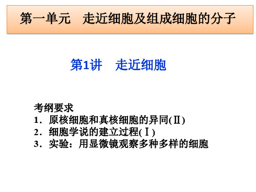 人教版高中生物一轮复习课件：第1讲 走近细胞共39张PPT