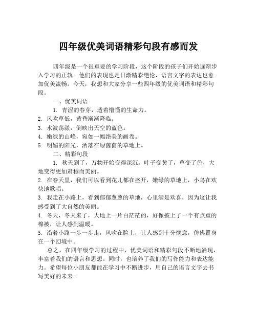 四年级优美词语精彩句段有感而发