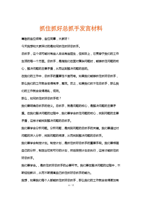 抓住抓好总抓手发言材料