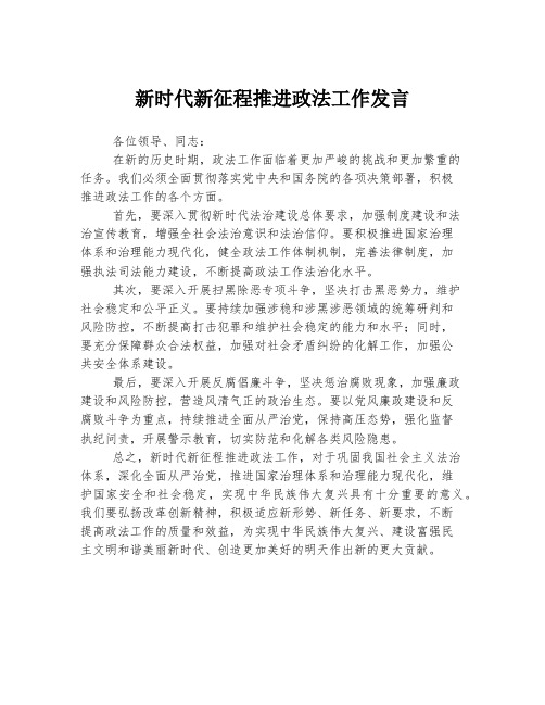 新时代新征程推进政法工作发言