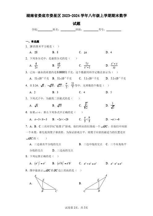 湖南省娄底市娄星区2023-2024学年八年级上学期期末数学试题