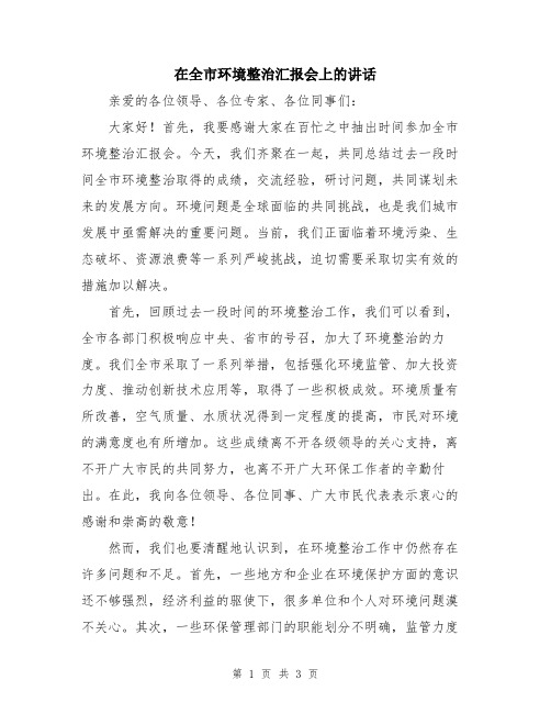 在全市环境整治汇报会上的讲话