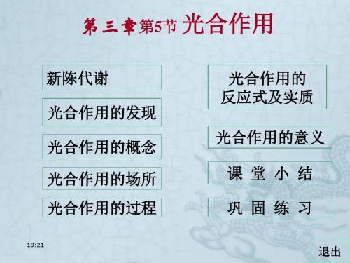 高中生物第三章第五节光合作用浙教版必修一