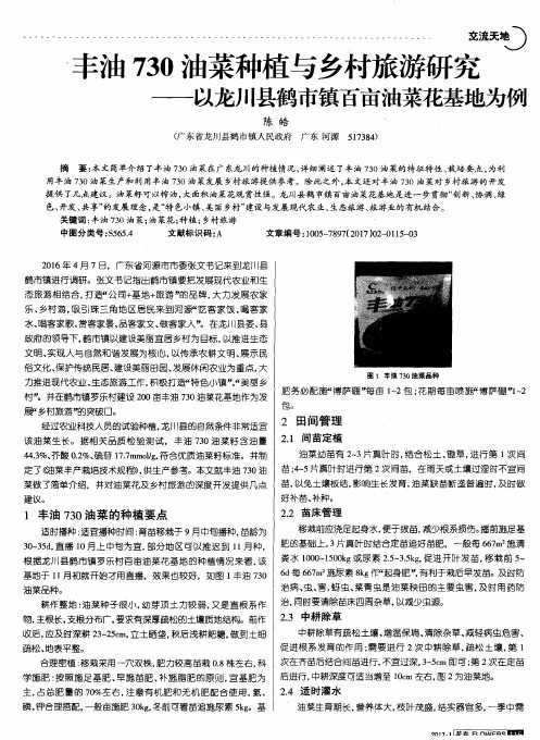 丰油730油菜种植与乡村旅游研究——以龙川县鹤市镇百亩油菜花基地为例