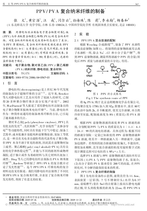 PPV_PVA复合纳米纤维的制备