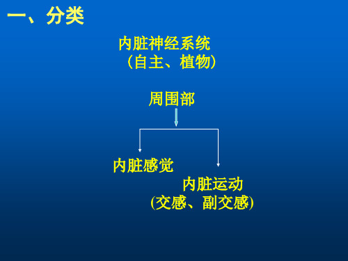 内脏神经解剖学课件-幻灯片(1)