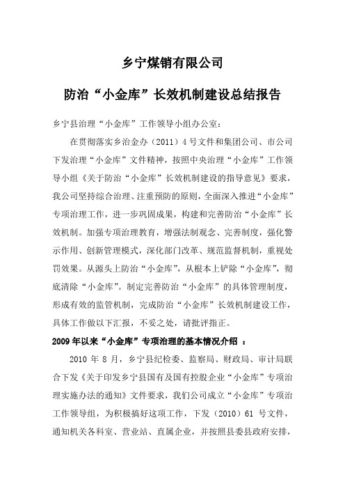 防治‘小金库’长效机制建设总结报告