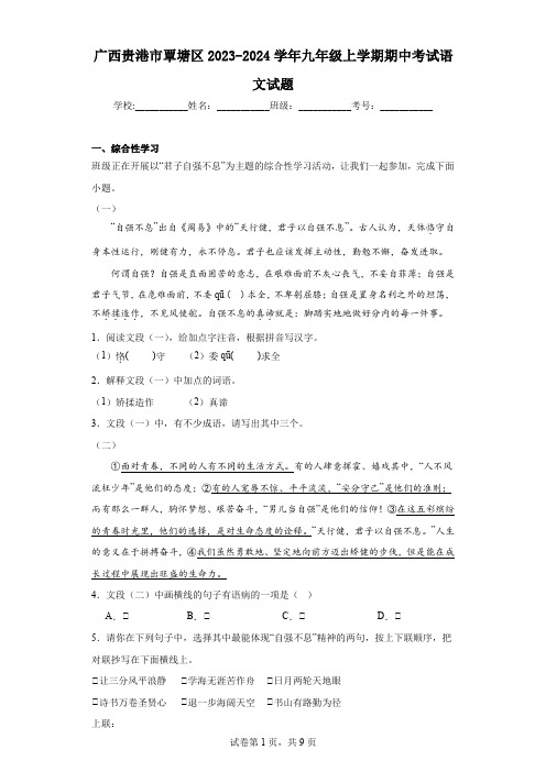 福建省长泰第一中学2023-2024学年九年级上学期期中检测语文试题