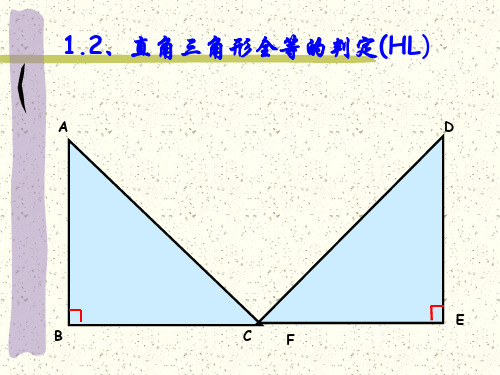 直角三角形全等的判定(HL)定理