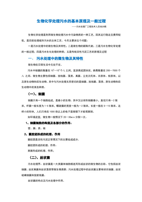 生化处理污水基本原理及一般过程讲课提纲