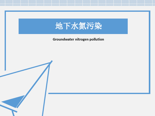 地下水氮污染