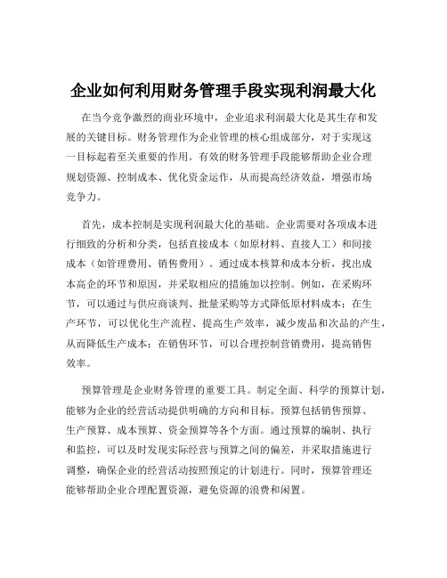 企业如何利用财务管理手段实现利润最大化