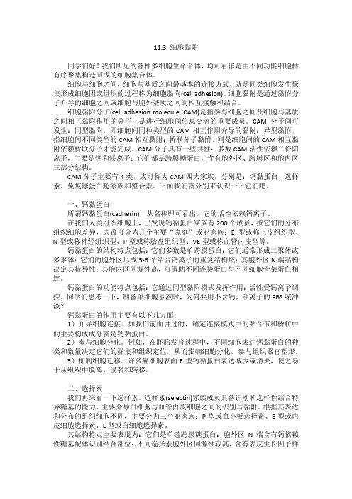 08-3-细胞黏附