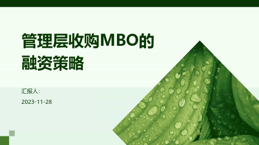 管理层收购MBO的融资策略