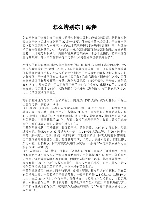 怎么辨别冻干海参