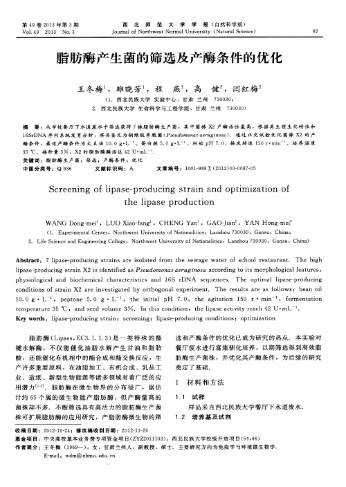 脂肪酶产生菌的筛选及产酶条件的优化