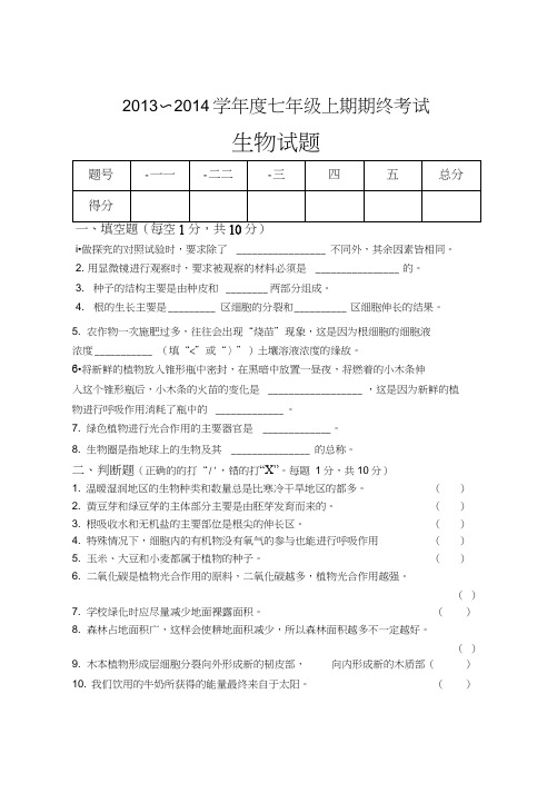 苏教版2013~2014七年级上期期终试题