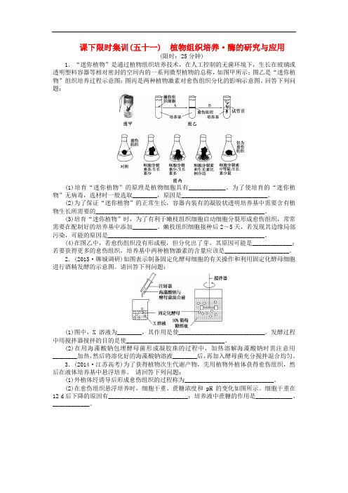 高三生物一轮复习 第3讲 植物组织培养 酶的研究与应用课下限时集训 新人教版选修1