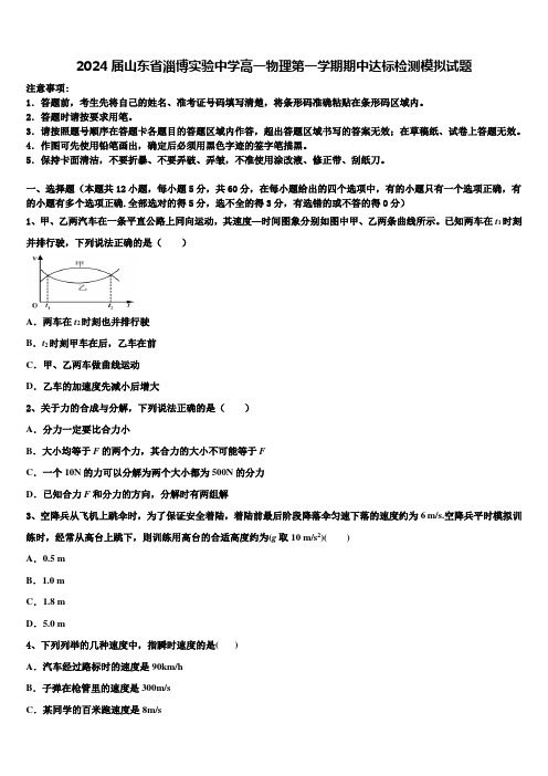 2024届山东省淄博实验中学高一物理第一学期期中达标检测模拟试题含解析