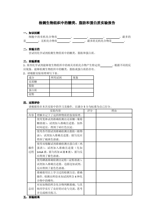 营养物质的鉴定实验报告-3