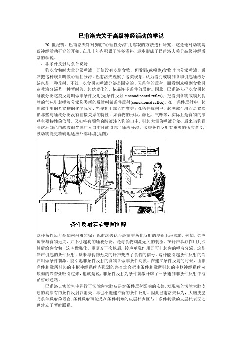 巴甫洛夫关于高级神经活动的学说