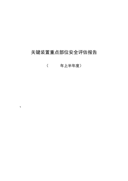 关键装置、重点部位安全评估报告模板