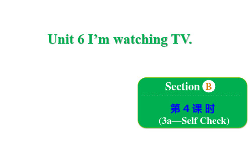 I'mwatchingTV.SectionB3aSelfCheck(第4课时)课件(共13张PPT)