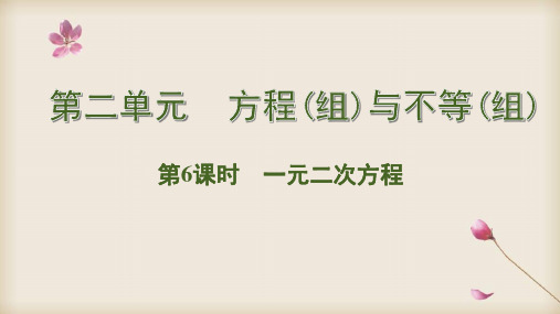 2020中考数学专题复习课件-6 一元二次方程