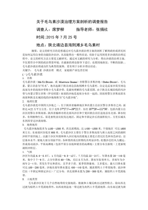 毛乌素沙漠政府治理方案剖析