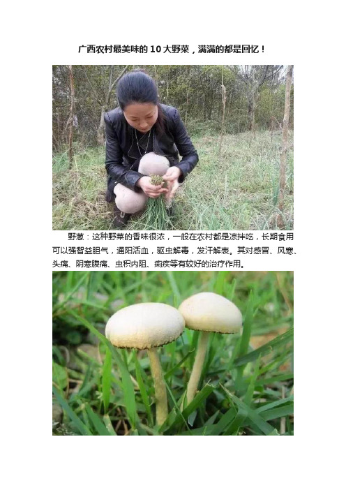 广西农村最美味的10大野菜，满满的都是回忆！