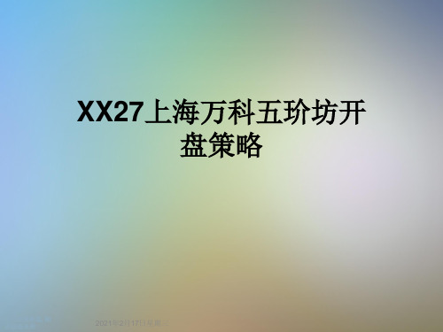 XX27上海万科五玠坊开盘策略