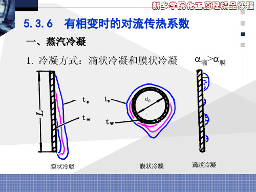 蒸汽冷凝