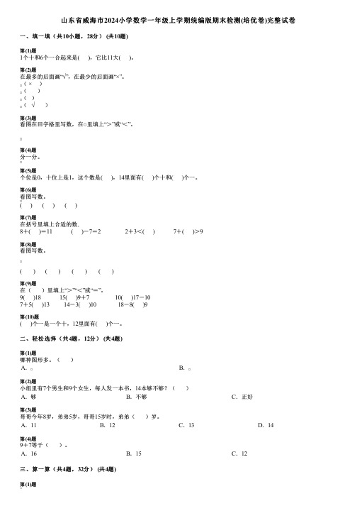 山东省威海市2024小学数学一年级上学期统编版期末检测(培优卷)完整试卷