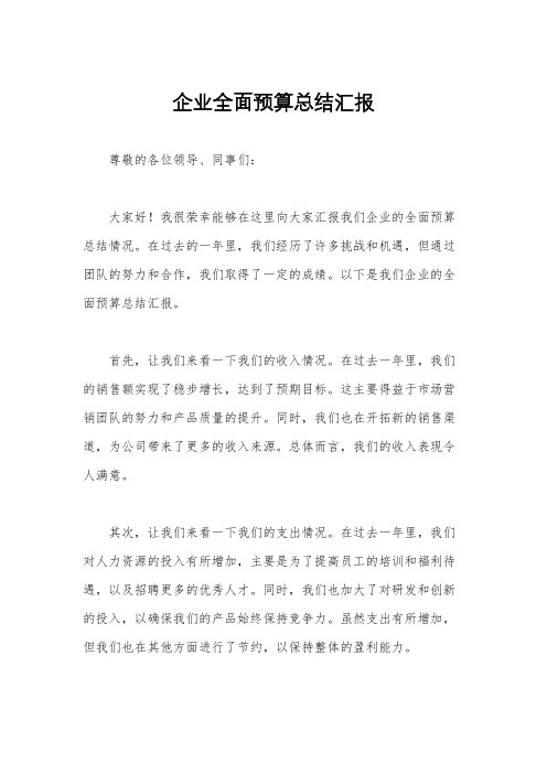 企业全面预算总结汇报