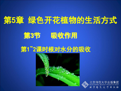 第五章 植物的生活方式之  吸收作用