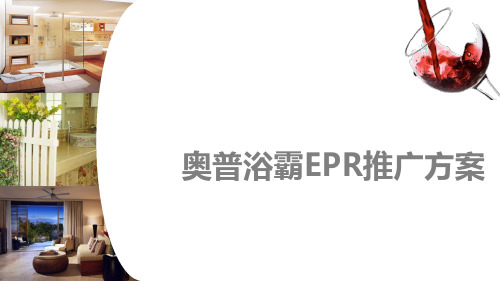 奥普浴霸EPR推广方案__合创奇迹