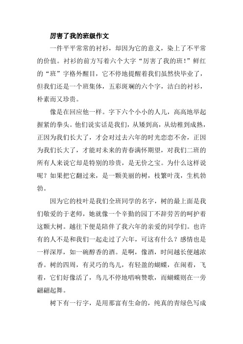 厉害了我的班级作文500字