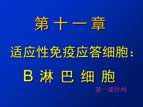 最新医学免疫学B淋巴细胞精品PPT教学课件