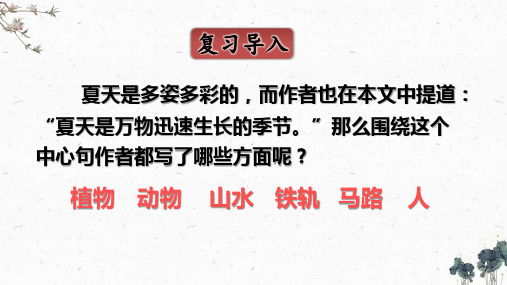 16.夏天里的成长(课件) 第二课时2023-2024学年六年级上册语文(统编版)